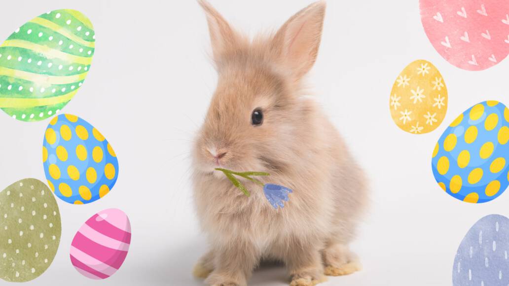 Osterangebote bei Primus